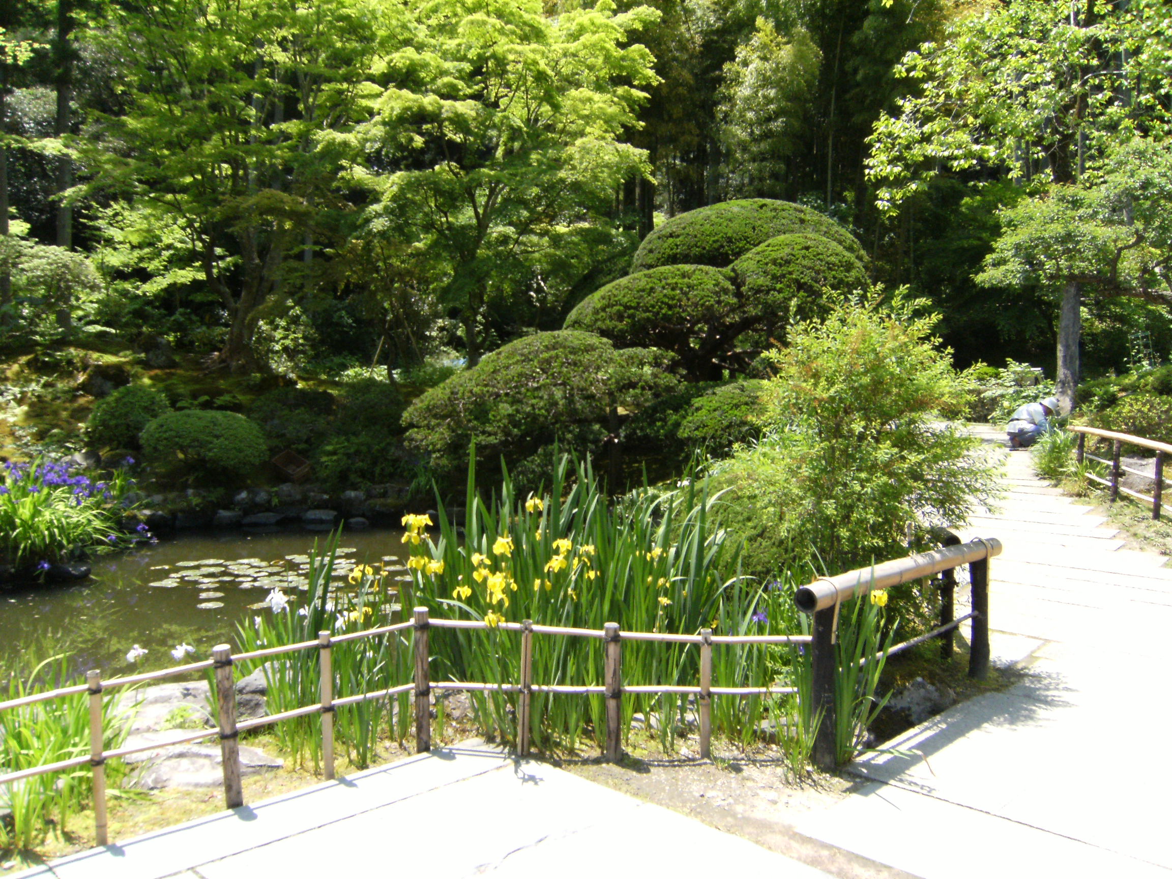 画像