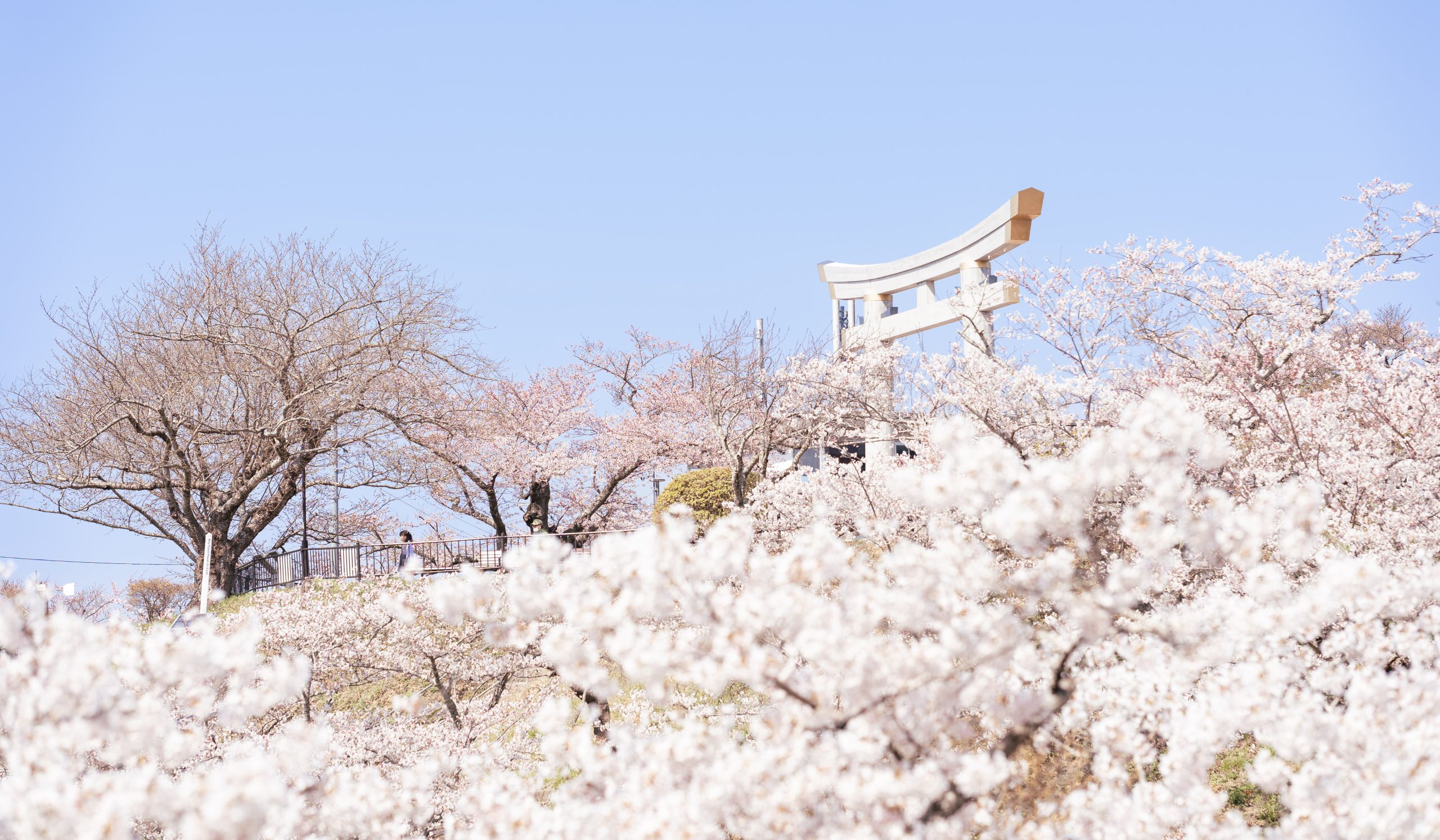 日 和 山 公園